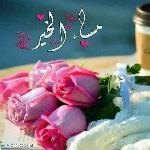Ahmed samer